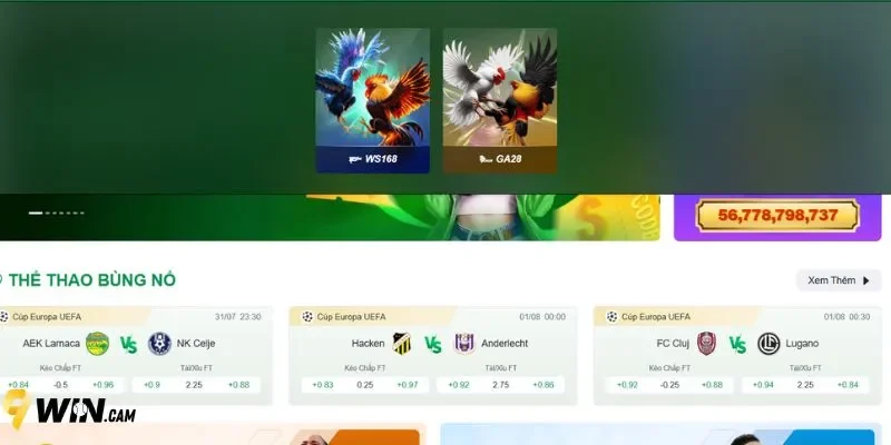 9Win cung cấp đa dạng thể loại cược trong sảnh đá gà